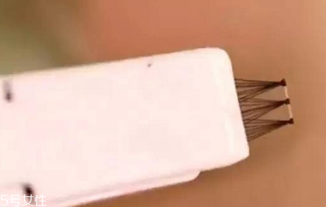 ��ë�������ʲô����ʮ���ë���������ɷŴ�˫��